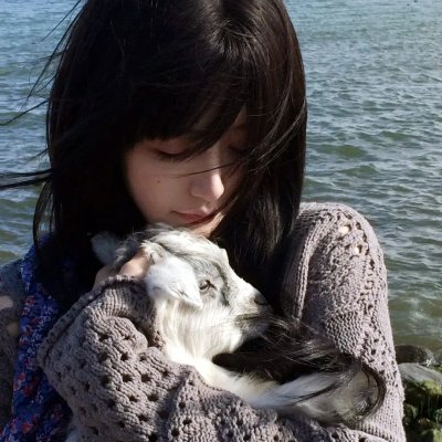 百花缭乱 武士少女 特典